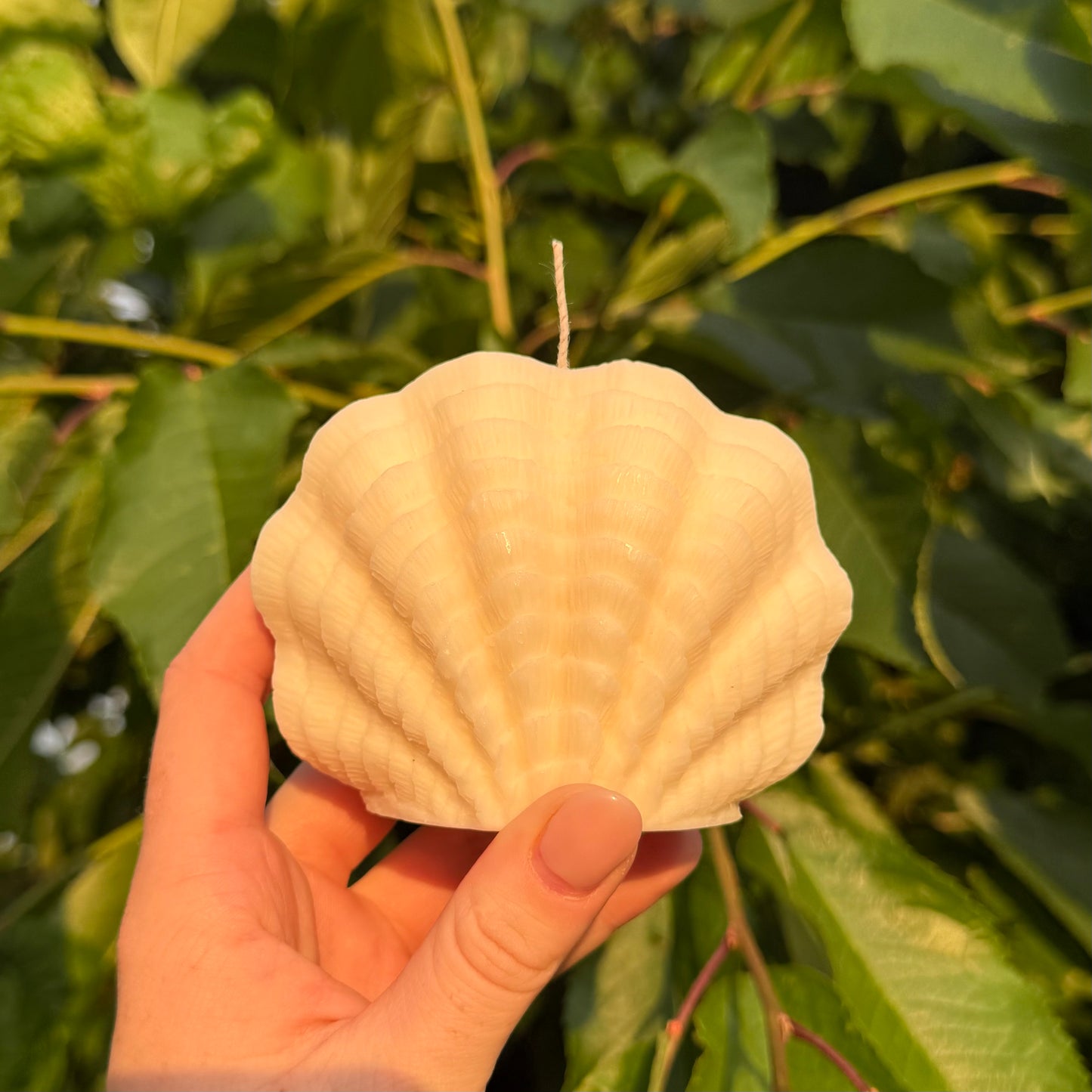 Luna Mare | Muschelkerze