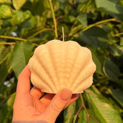 Luna Mare | Muschelkerze
