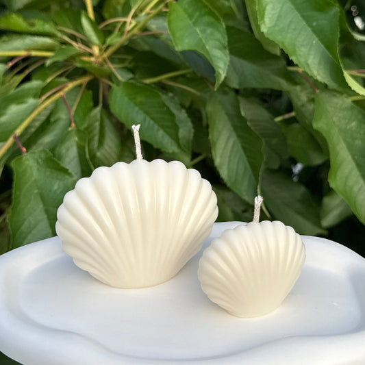 Muschelgeschwister | Muschelkerze