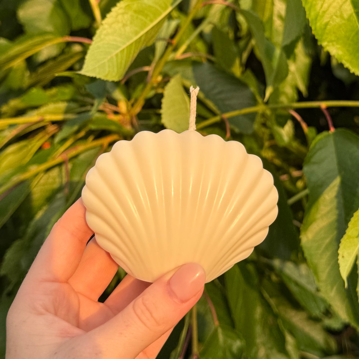 Muschelgeschwister | Muschelkerze