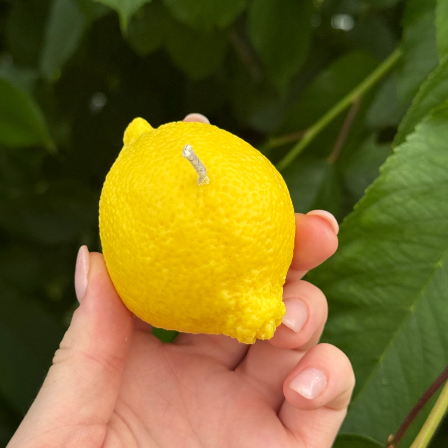 Lemon | Zitronenkerze