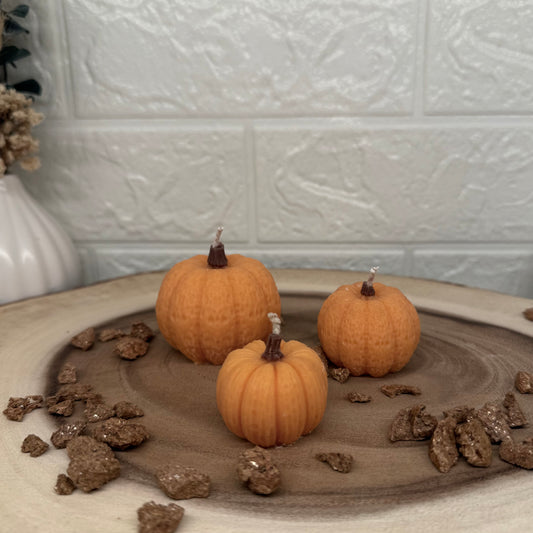 Mini Pumpkins | Mini Kürbisse