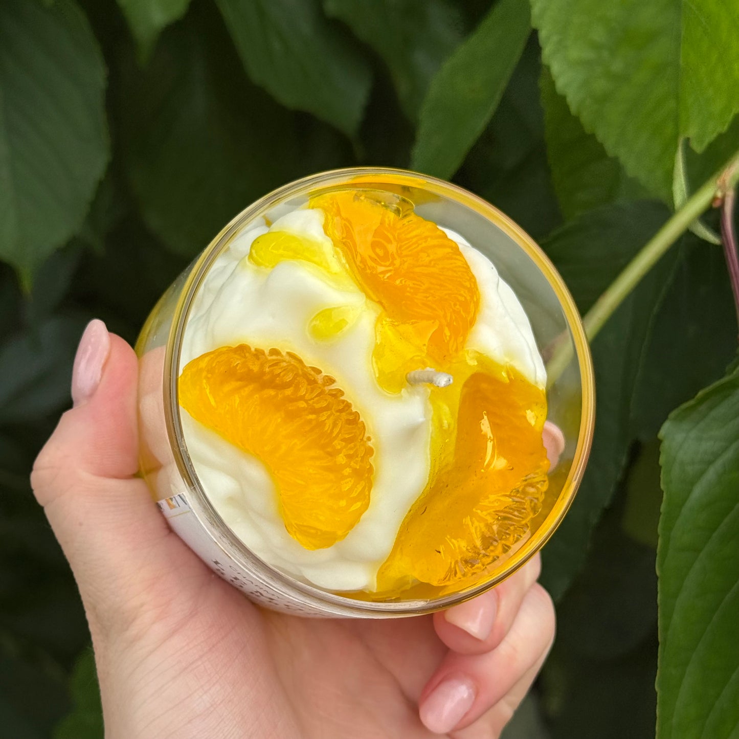 Lemon Sorbet | Zitronen Dessert