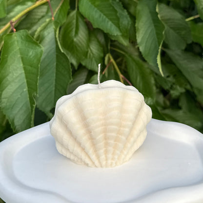Luna Mare | Muschelkerze