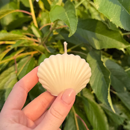 Muschelgeschwister | Muschelkerze