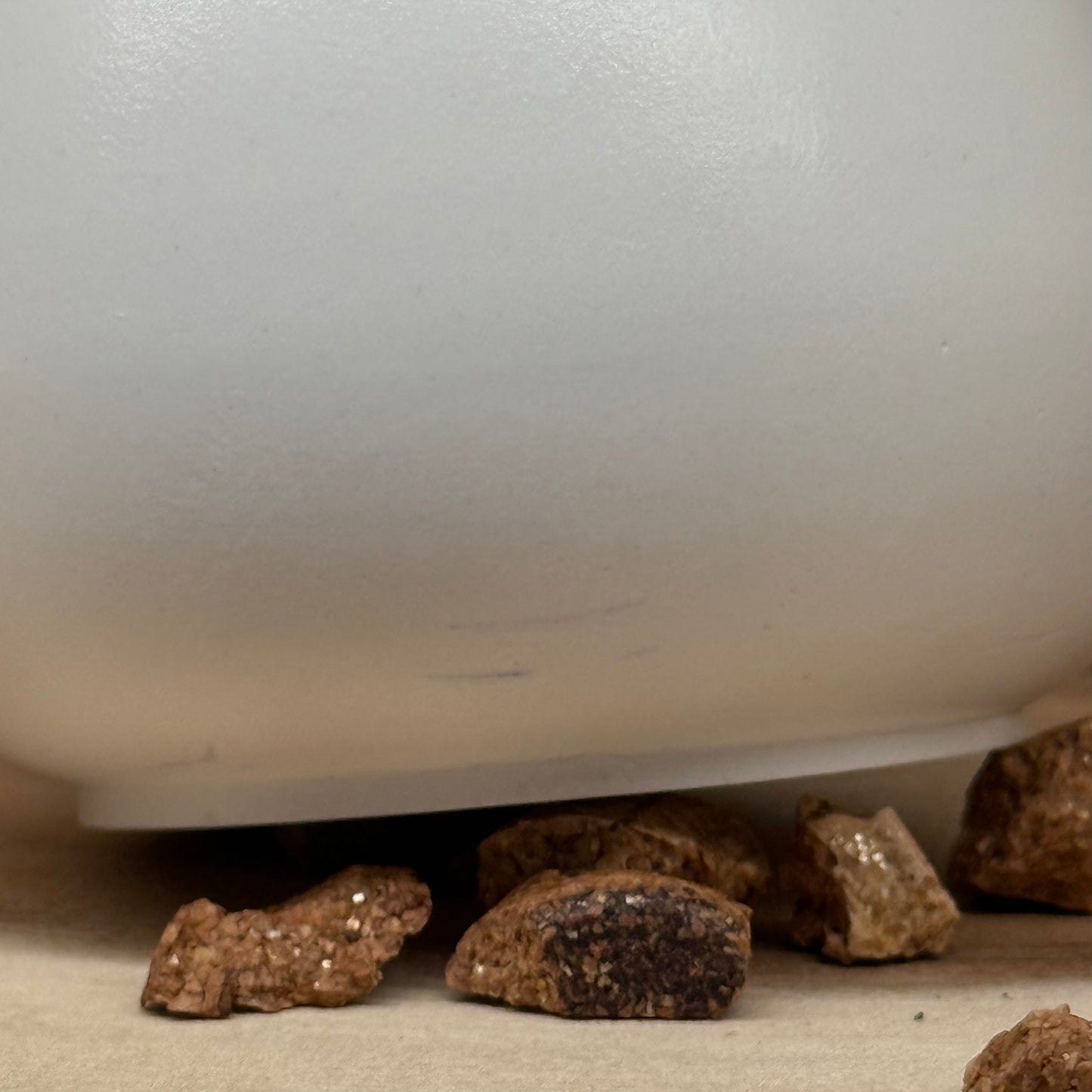 Mushroom Candle | Pilz Kerze | B-Ware