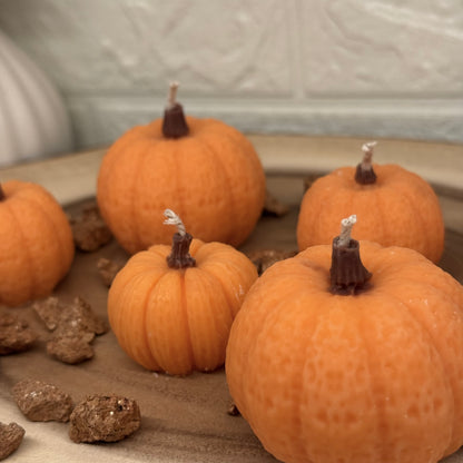Mini Pumpkins | Mini Kürbisse