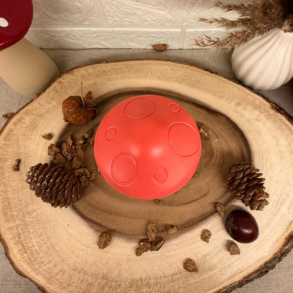 Mushroom Candle | Pilz Kerze