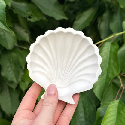 Muschelschale