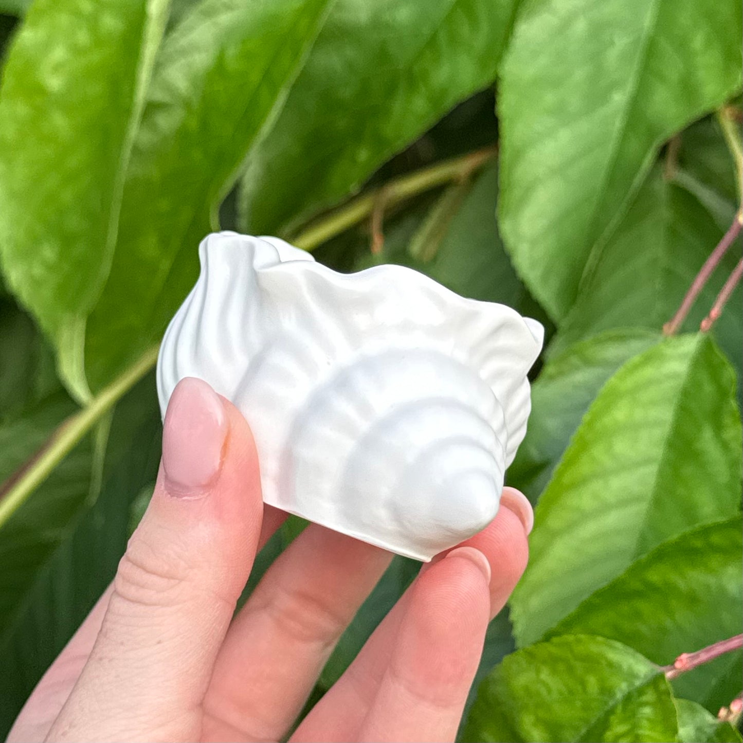 Ozeanlicht | Muschelkerze
