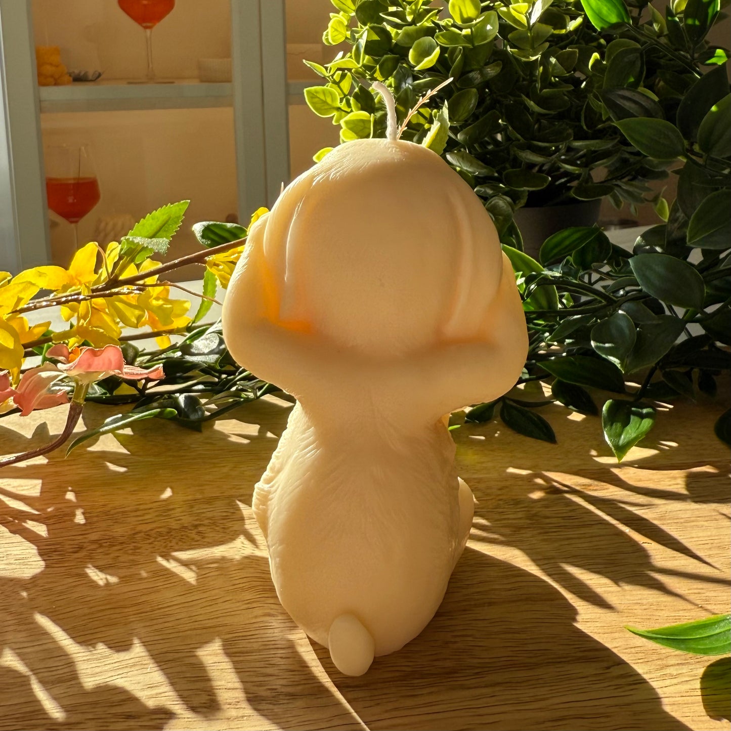 Hase (hört nichts)