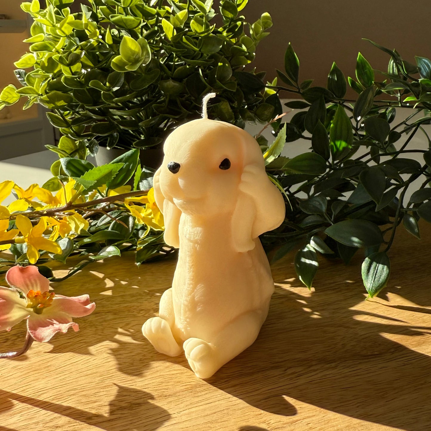 Hase (hört nichts)